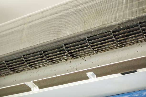 Best HVAC Air Duct Cleaning  in Henderson, NC
