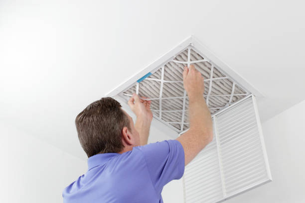 Best Air Duct Mold Removal  in Henderson, NC